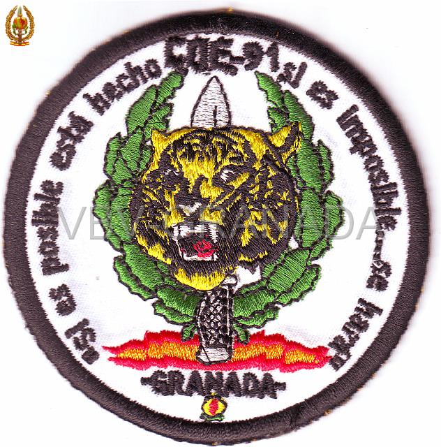 Parche COE91.jpg